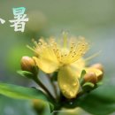 소서 이미지