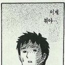 마이뷰티독 이마트 월계점 이미지