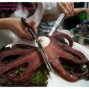 진성횟집 - 진주시 일반성면 | 진성횟집