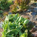 오뚜기농장 이미지