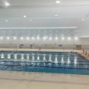 아레나 수영장 이미지