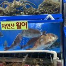 고흥상회 | 가락시장 회센터 고흥상회