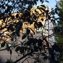 다정한소아청소년과의원 이미지