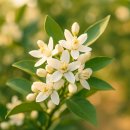 종철농장 이미지