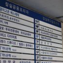 뷰티, 나애