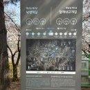 마루공원 축구장_1 이미지