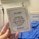 주-지니킴 | 출산까지 기록(한양대병원 자연분만 후기)
