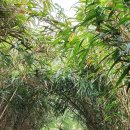 해안도로캠핑 이미지