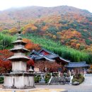 표충사호국박물관 이미지