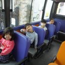 느티나무유치원 이미지