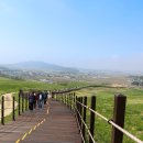 서산농장 이미지