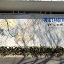 2381 | 상하이 동물원 입장료 위치 가는법 팁 상해 동물원 후기