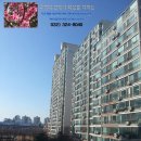 서촌체육관 다목적체육관 이미지