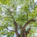 내태1리 이미지