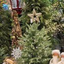 12/6 크리스마스 생화 트리 | 양재 꽃시장 크리스마스 트리 저렴하게 구매하는법 영업시간 주차