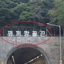 부산 터널 위 ‘꾀끼깡꼴끈’ 괴문자…무슨 일? 이미지