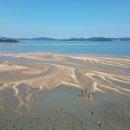 연평바다살리기영어조합법인 | 🌊연평도 바다, 그물에 갇히다?!