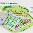 숲속야영장 이미지