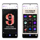 SSF스포츠