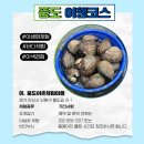 풍도_어촌체험마을 이미지