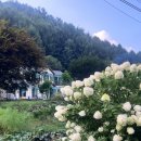 시나몬펜션 이미지