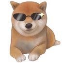 산청동물병원 이미지