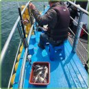 현대낚시 이미지