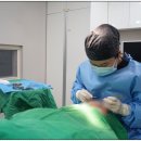 신논현역 이미지