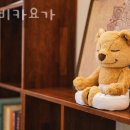 니르비카요가 | 니르비카요가 가격 후기