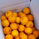 세신농장 이미지