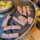 육백더육백 이미지