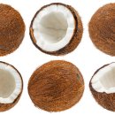 코코넛19 이미지