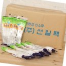(주)선일팩 이미지