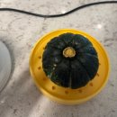 제주그밤 | 제주 미니밤호박 후기 | 임산부 간식으로 강추! 달달한 저칼로리 건강 간식