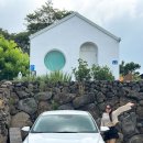 오렌지카서비스 | 제주도 렌트카 가격비교 제주 자유렌트카 더세이프렌터카