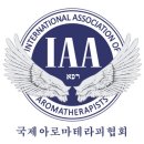 고양이무마취미용 묘갱살롱 이미지