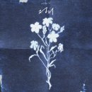나오네일 이미지