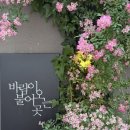 대구 중구ㅣ대봉동 김광석거리 에그타르트 찐맛집 “바람이불어오는곳”