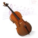 비올라 1:1 개인레슨 이미지