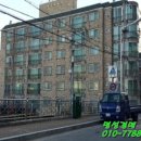 동조리젠시 이미지