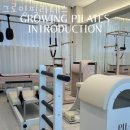 세븐일레븐 서초희망점 | 별내동도수치료 그로잉필라테스 시술방법 효과 후기