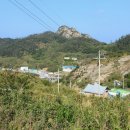 흑산초등학교흑산동분교장 네이버블로그