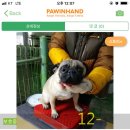 피터팬하우스 이미지