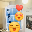 라일락노래연습장 네이버블로그