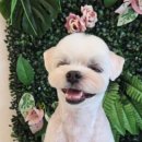 그루밍140 이미지