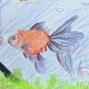 관찰화 weird fish ^^♡ ㅡ 신유라 이미지