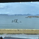 꽃-가족 | [거제도 매미성 맛집] 거제도더꽃 매미성점 - 온가족세트 후기