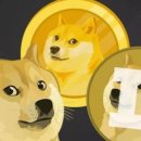 도지 이미지