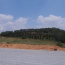 광산구-016 Daum카페