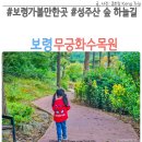 보령 무궁화수목원 숲해설 성주산 숲 하늘길 스카이워크